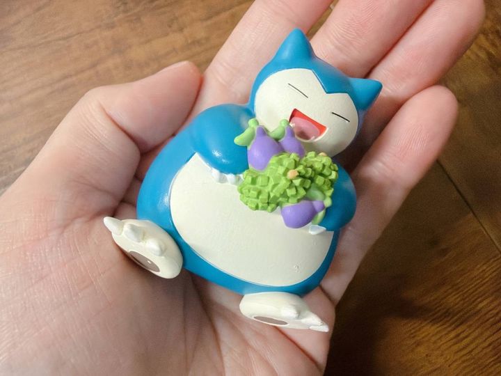 手のひらに乗せたカビゴン