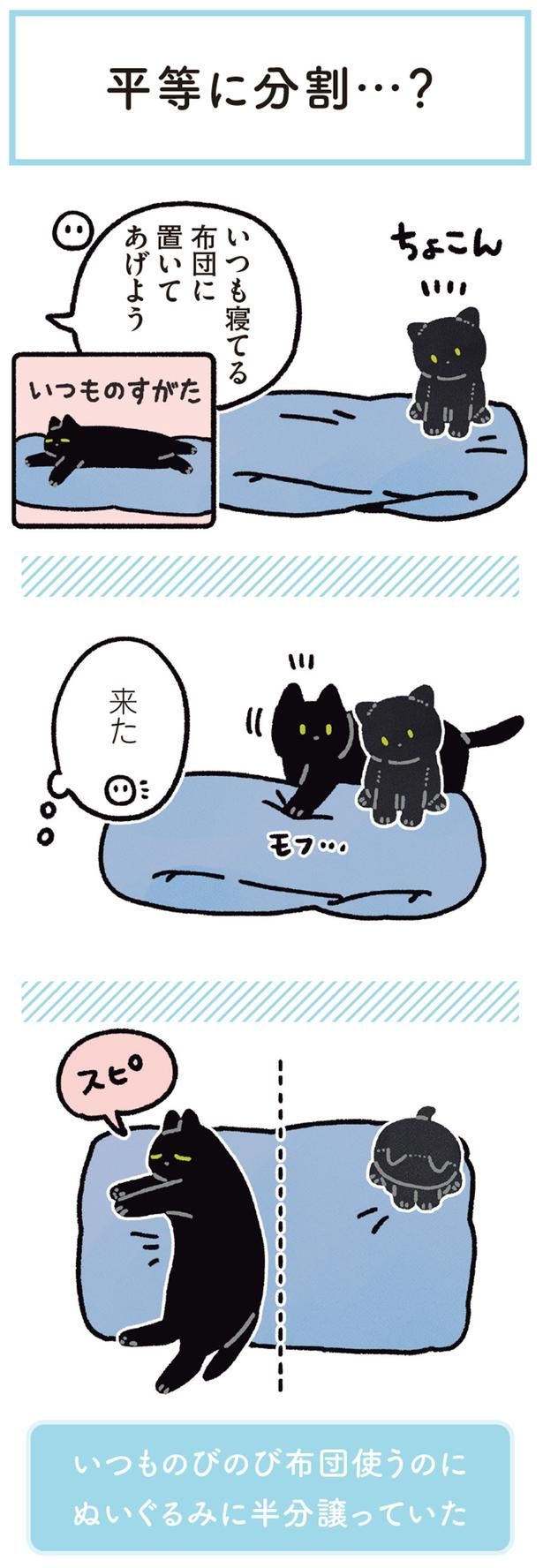 いつも寝てる布団に置いてあげよう （C）AKR／KADOKAWA