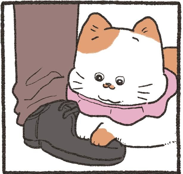 靴の上にお隣の猫さんが乗ってきて （C）やじま／KADOKAWA