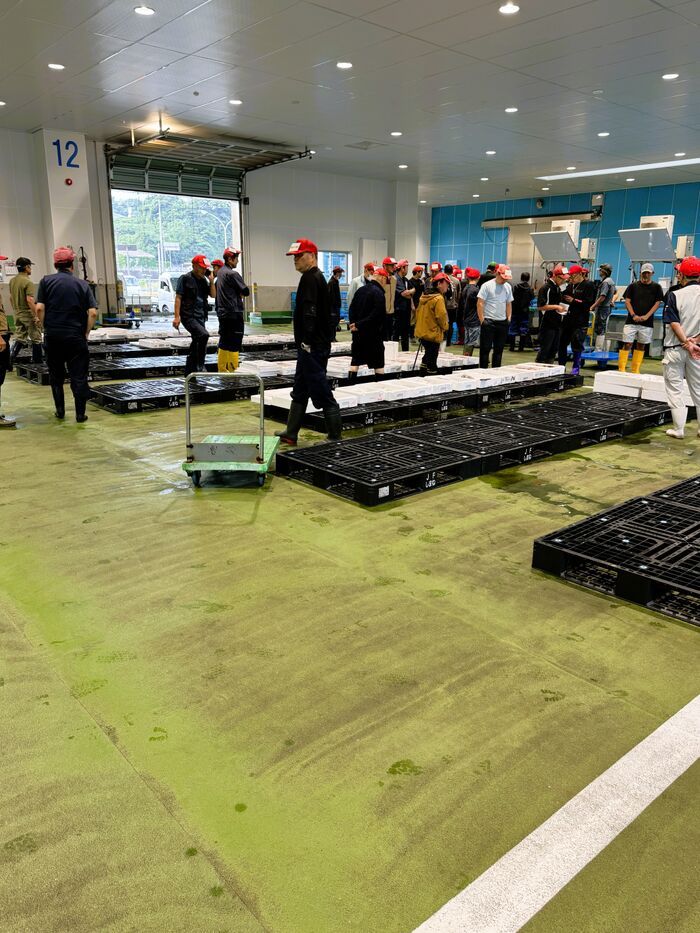 魚はもっと気軽でいい！ ダンノマリコさんに聞く、旬の魚のおいしい楽しみ方