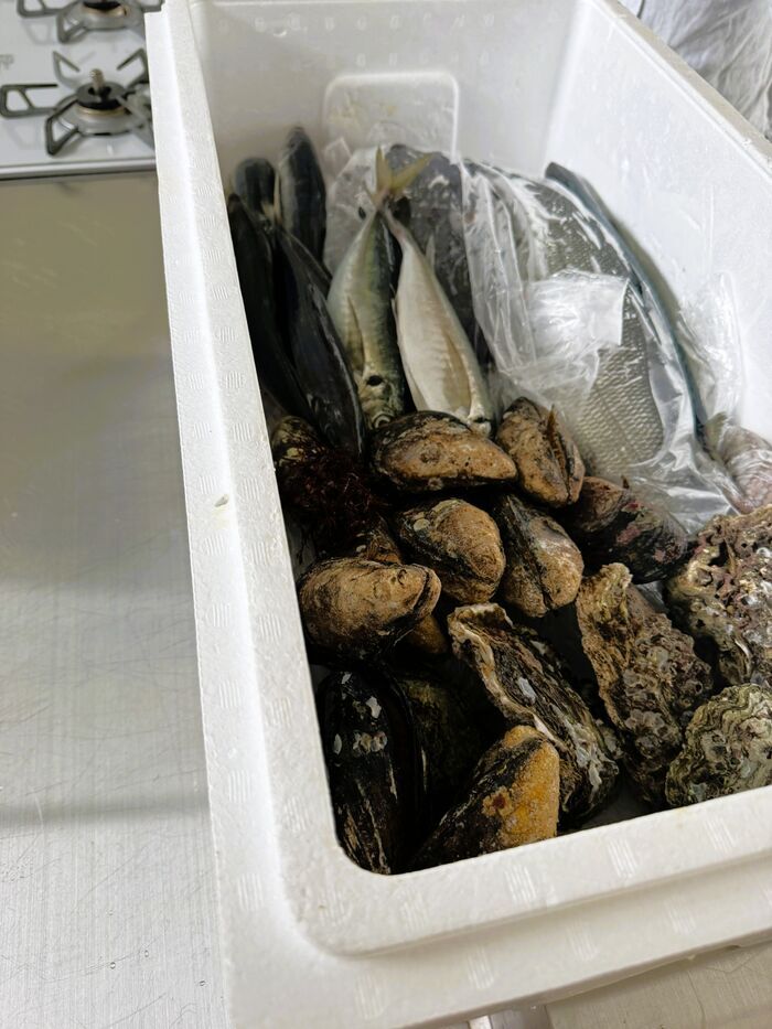 魚はもっと気軽でいい！ ダンノマリコさんに聞く、旬の魚のおいしい楽しみ方