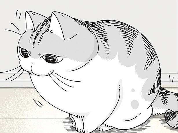 足元に走ってきて「ピタッ」！ （C）キュルZ／KADOKAWA