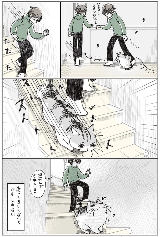 通せんぼされている？ （C）キュルZ／KADOKAWA