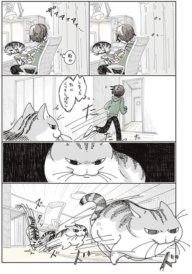 雨か… （C）キュルZ／KADOKAWA