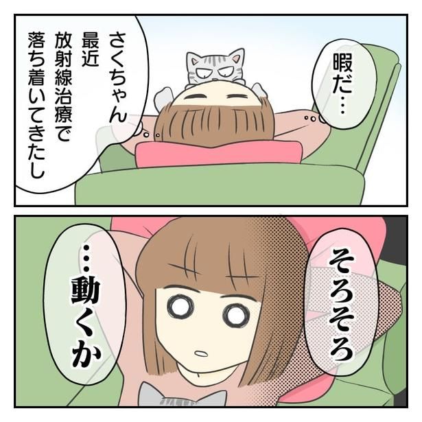 (C)Hana