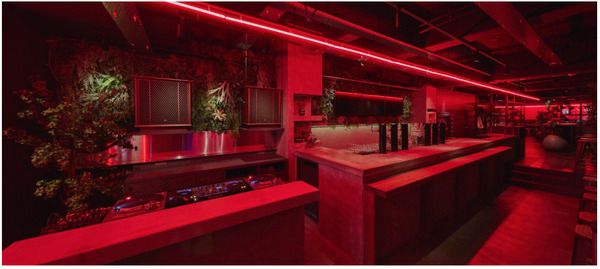 【東京都港区】植物・音楽とともに食・お酒を楽しむビアレストラン「VINYL HOUSE 六本木植物園」OPEN