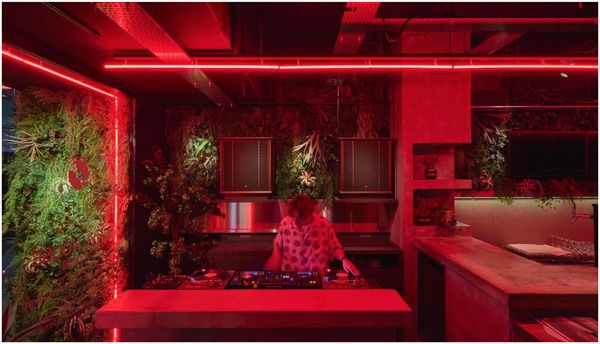 【東京都港区】植物・音楽とともに食・お酒を楽しむビアレストラン「VINYL HOUSE 六本木植物園」OPEN