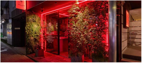 【東京都港区】植物・音楽とともに食・お酒を楽しむビアレストラン「VINYL HOUSE 六本木植物園」OPEN