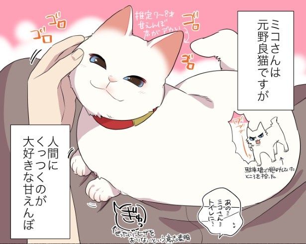 甘えんぼ猫ならではのイタズラをされた話 久川はる(@hisakawa_haru)