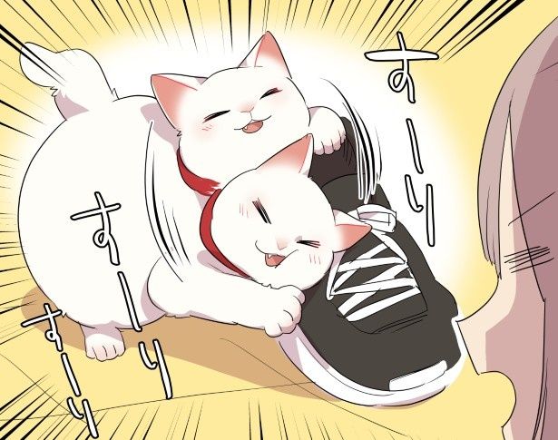 激しく靴にスリスリをしている猫 久川はる(@hisakawa_haru)