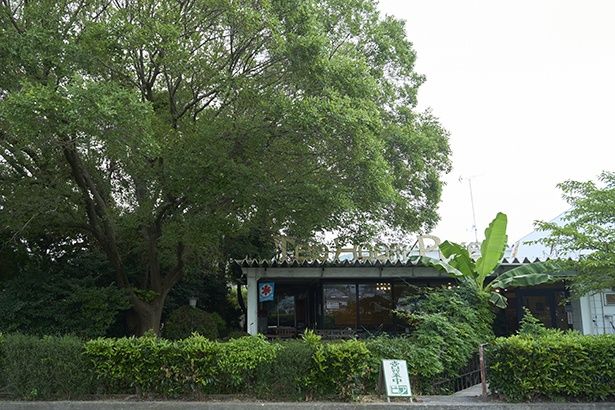 建物の意匠やインテリアなどは、創業者のアイデアが活かされている