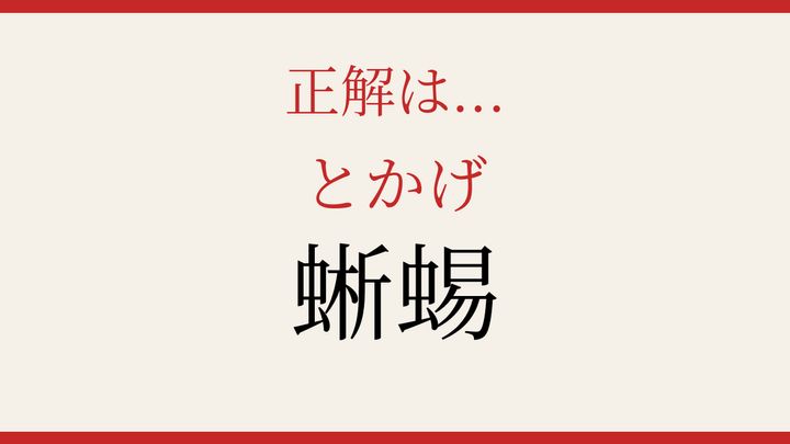 【難読漢字】何と読むか分かる？爬虫類の代表選手の解答画像