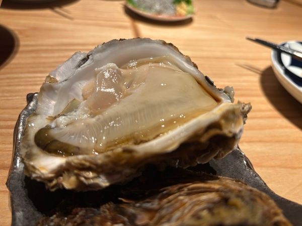 【神奈川県鎌倉市】大船仲通り商店街エリアに、海鮮居酒屋「魚貝 とろぼっち 大船」オープン！