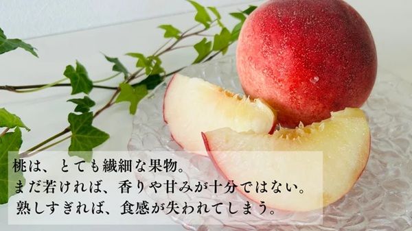 『山形完熟桃のフルーツポンチッチ』が「Makuake」で発売。山形桃が主役！