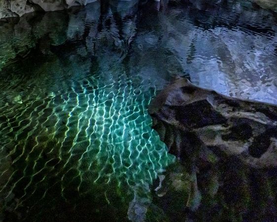 【奈良県下市町】丹生川上神社下社の神域に湧く天然水を使用！「神泉サイダー」下市町の複合施設で発売