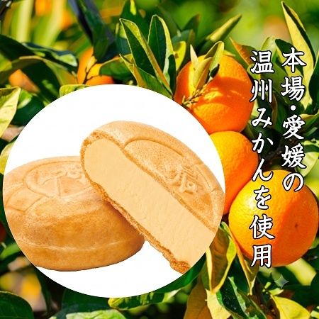 愛媛県宇和島の老舗「かどや」が「えひめみかんアイスモナカ」をオンラインで先行発売