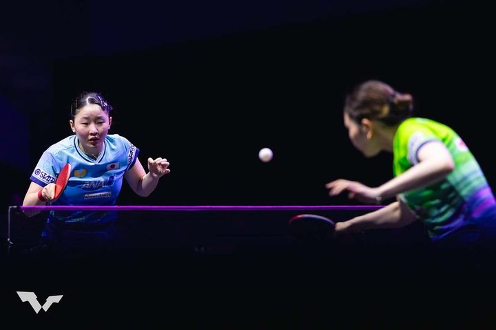 張本美和、橋本帆乃香（C）WTT