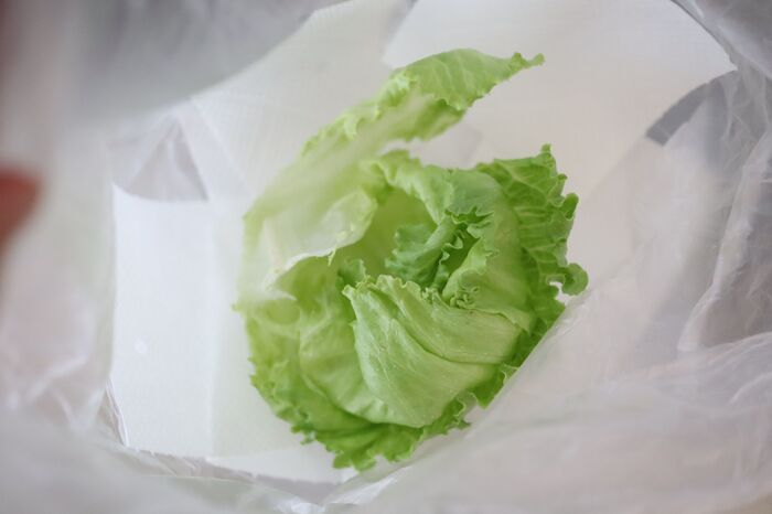 サラダスピナー級！ポリ袋で「野菜の水切り」やってみた！洗い物いらずでBBQでも使える