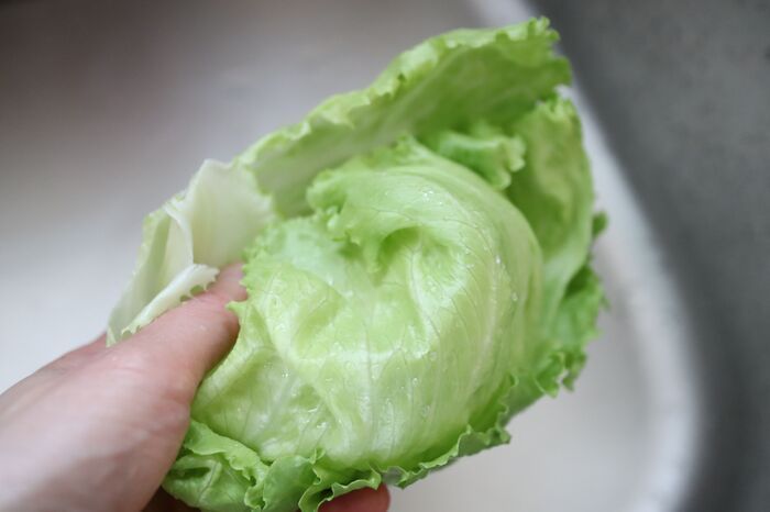 サラダスピナー級！ポリ袋で「野菜の水切り」やってみた！洗い物いらずでBBQでも使える