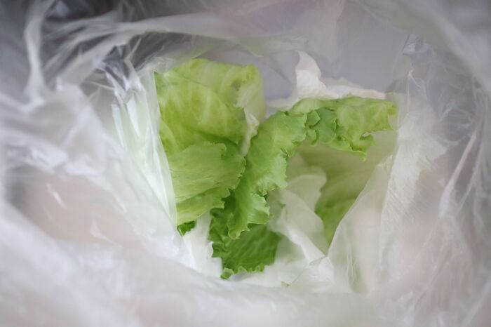 サラダスピナー級！ポリ袋で「野菜の水切り」やってみた！洗い物いらずでBBQでも使える