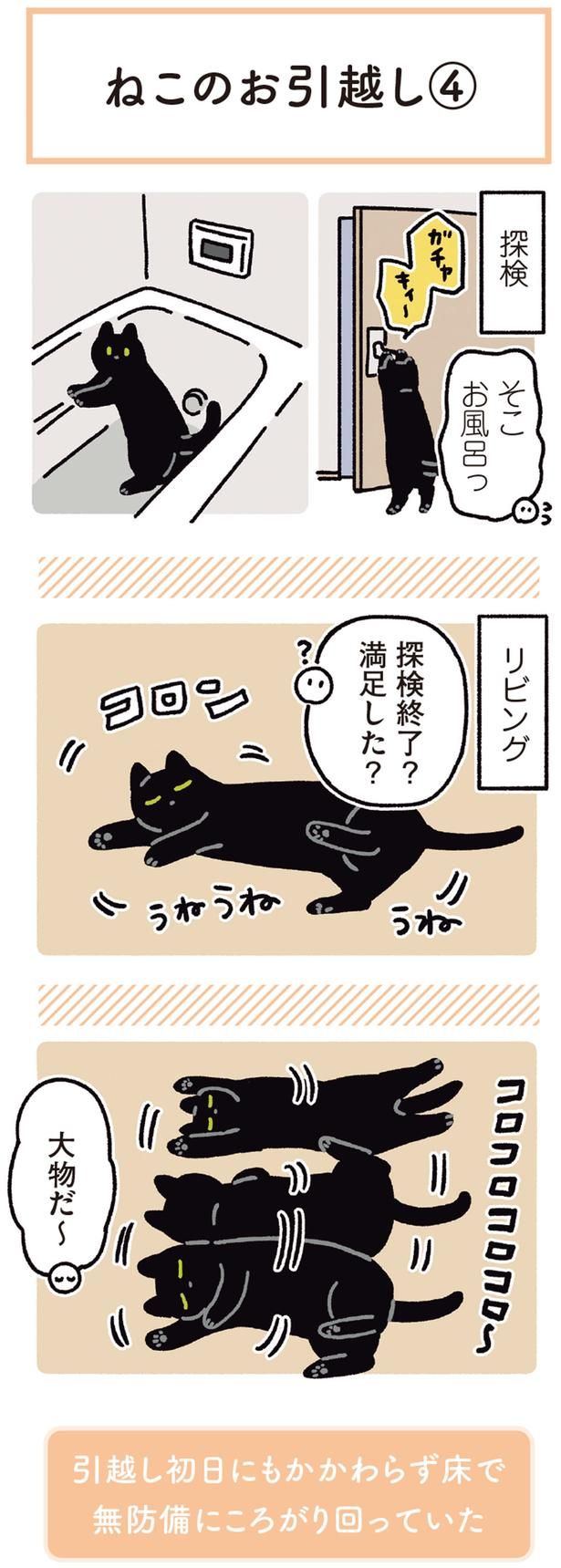 探検終了？満足した？ （C）AKR／KADOKAWA