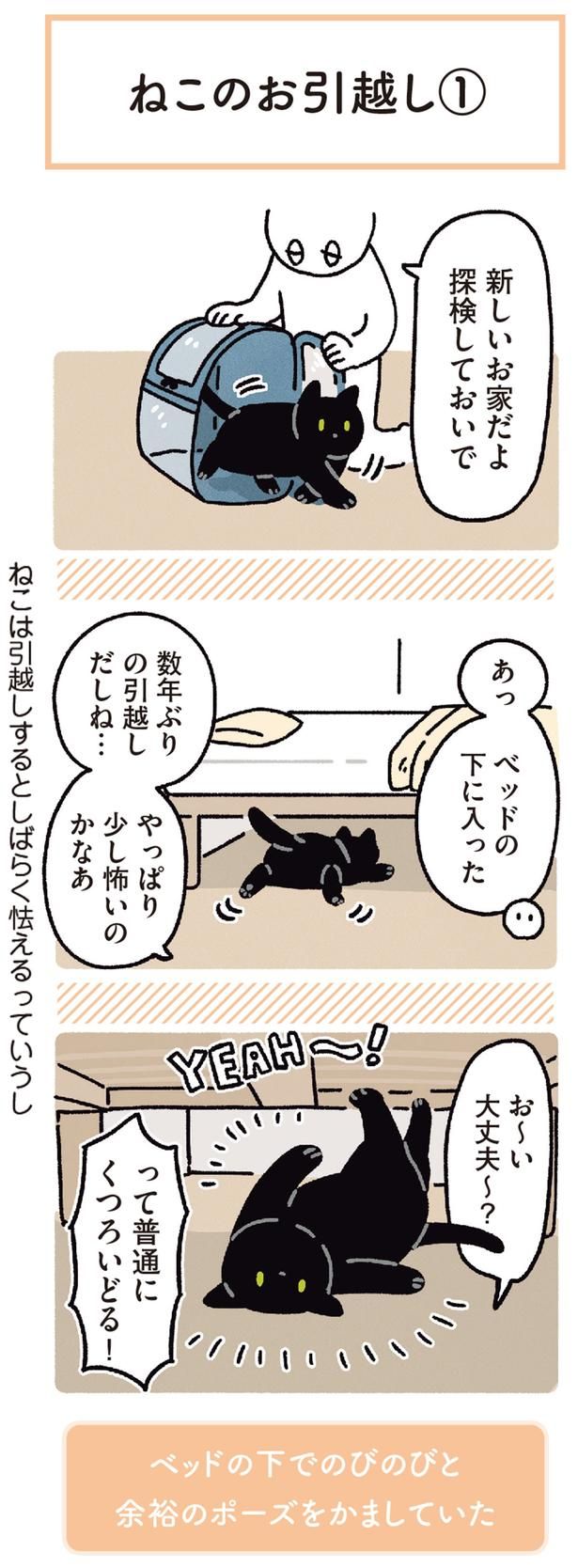 新しいお家だよ 探検しておいで （C）AKR／KADOKAWA
