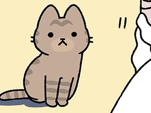 ねこあれ （C）ぱんだにあ／KADOKAWA