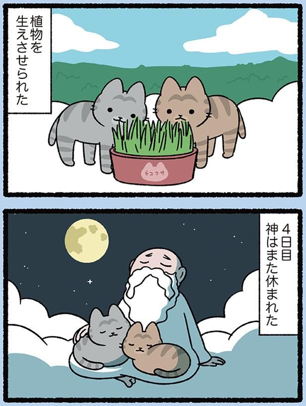 ねこ、ねこ、休息 （C）ぱんだにあ／KADOKAWA