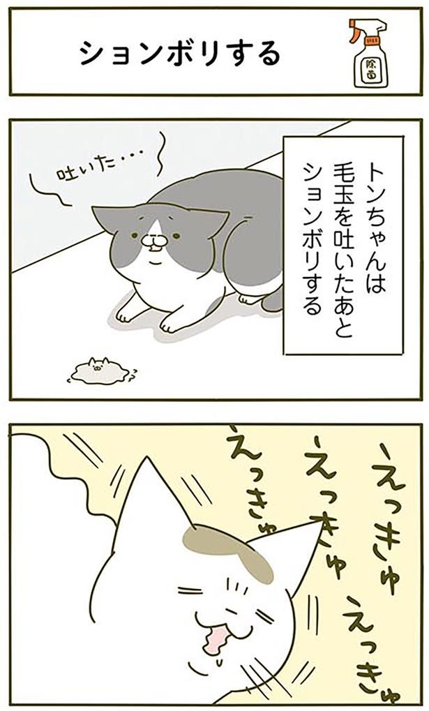 ションボリする （C）卵山玉子／KADOKAWA