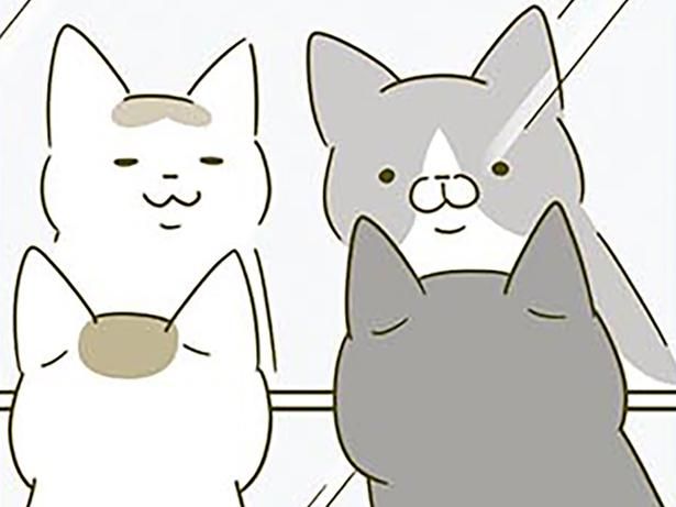 鏡を見るのが好きな猫たち （C）卵山玉子／KADOKAWA