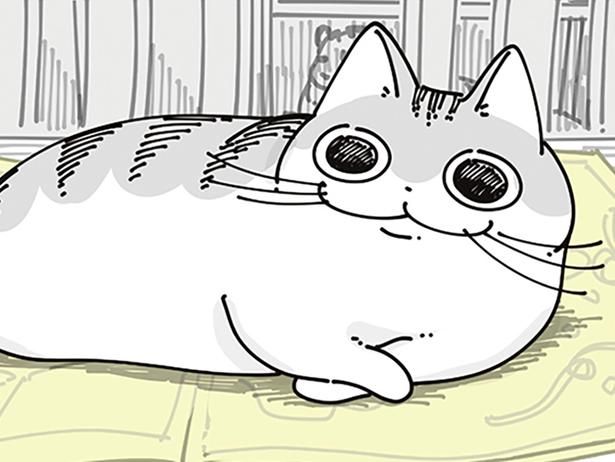陣取る猫 （C）キュルZ／KADOKAWA