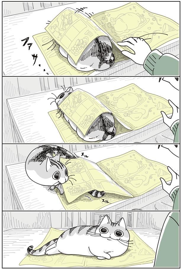 ファサ… （C）キュルZ／KADOKAWA