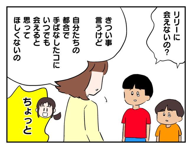 飼えなくなった猫を押し付けるママ友