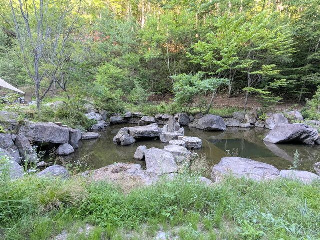 敷地内を流れる小川と岩に囲まれた自然の景観