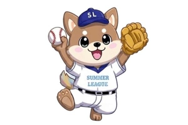 【新潟県三条市、見附市、新潟市、新発田市】全国9大学が新潟に集結！大学野球の育成世代が熱戦を繰り広げるサマーリーグ開催