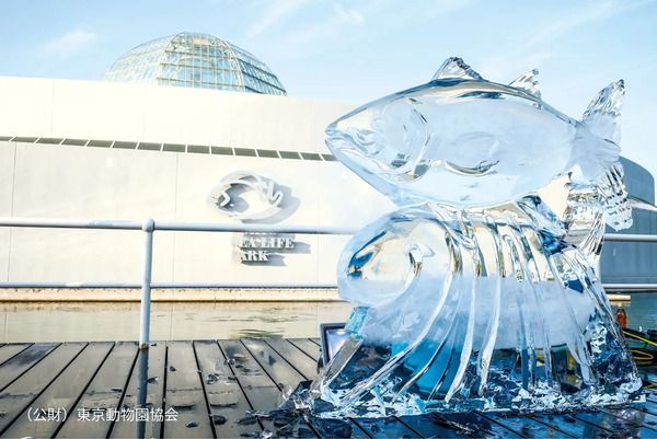 【東京都江戸川区】葛西臨海水族園で、子どもも大人も楽しめるイベント「水族園で夕涼み」開催！