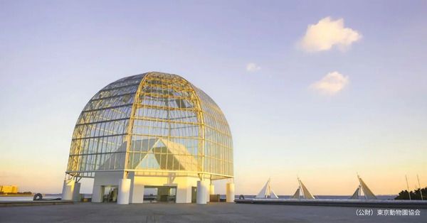 【東京都江戸川区】葛西臨海水族園で、子どもも大人も楽しめるイベント「水族園で夕涼み」開催！