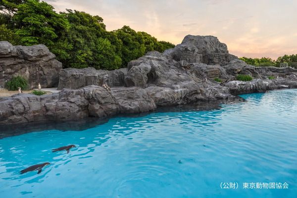 【東京都江戸川区】葛西臨海水族園で、子どもも大人も楽しめるイベント「水族園で夕涼み」開催！