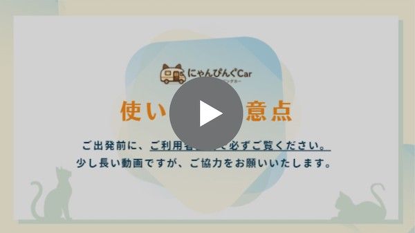 猫専用レンタルキャンピングカー「にゃんぴんぐCar」登場。猫と出かける新しい選択肢