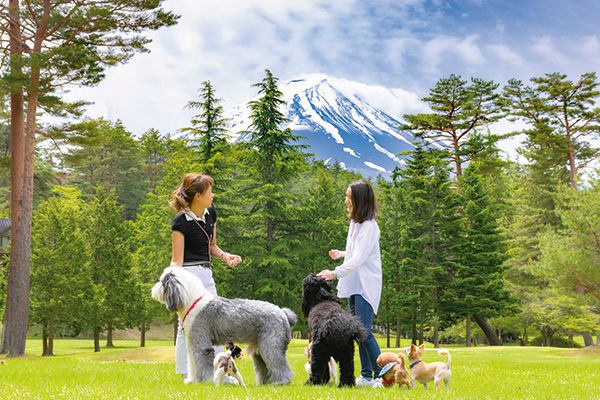 【山梨県富士河口湖町】フジプレミアムリゾート、愛犬と楽しむ夏季プログラム実施！BBQにヨガなど