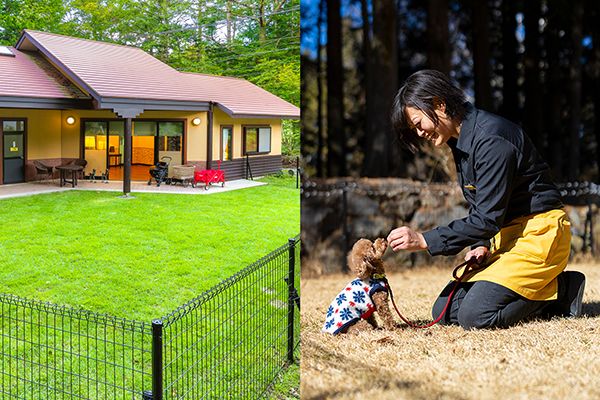 【山梨県富士河口湖町】フジプレミアムリゾート、愛犬と楽しむ夏季プログラム実施！BBQにヨガなど