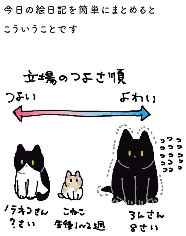 立場のつよさ順 （C）AKR／KADOKAWA