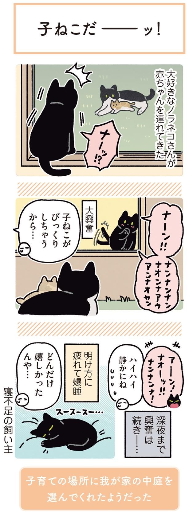 深夜まで興奮は続き… （C）AKR／KADOKAWA