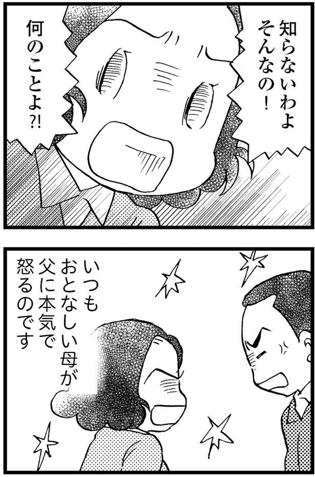 いつもおとなしい母が父に本気で怒るのです （C）美齊津康弘、吉田美紀子／KADOKAWA