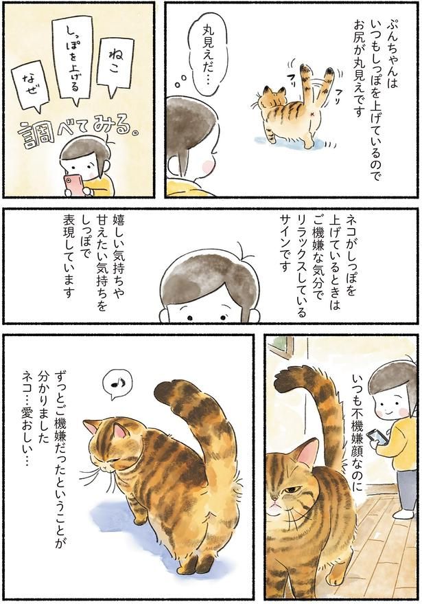 いつも不機嫌顔なのに （C）山麦まくら／KADOKAWA