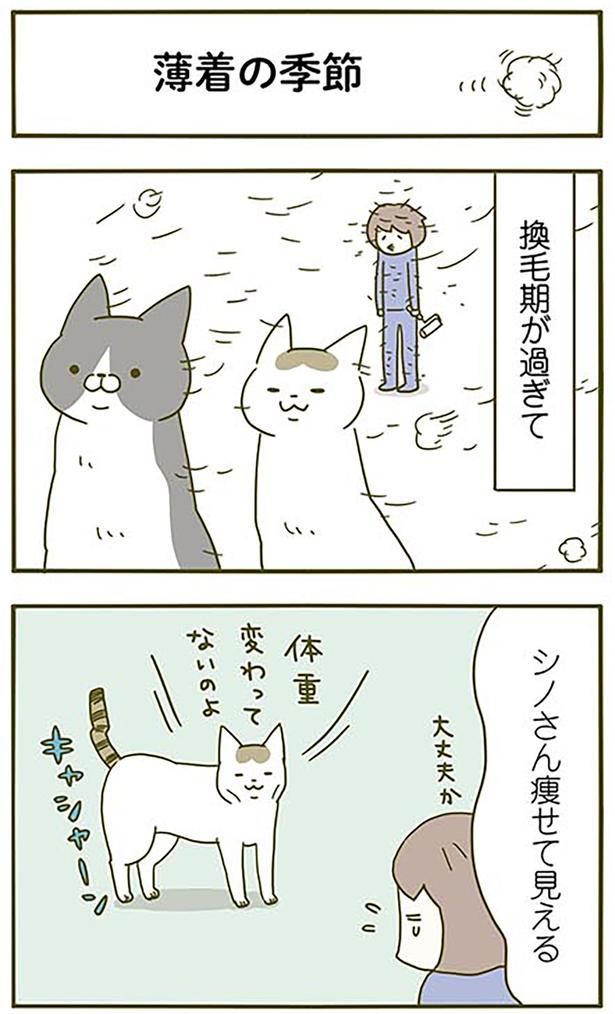 薄着の季節 （C）卵山玉子／KADOKAWA