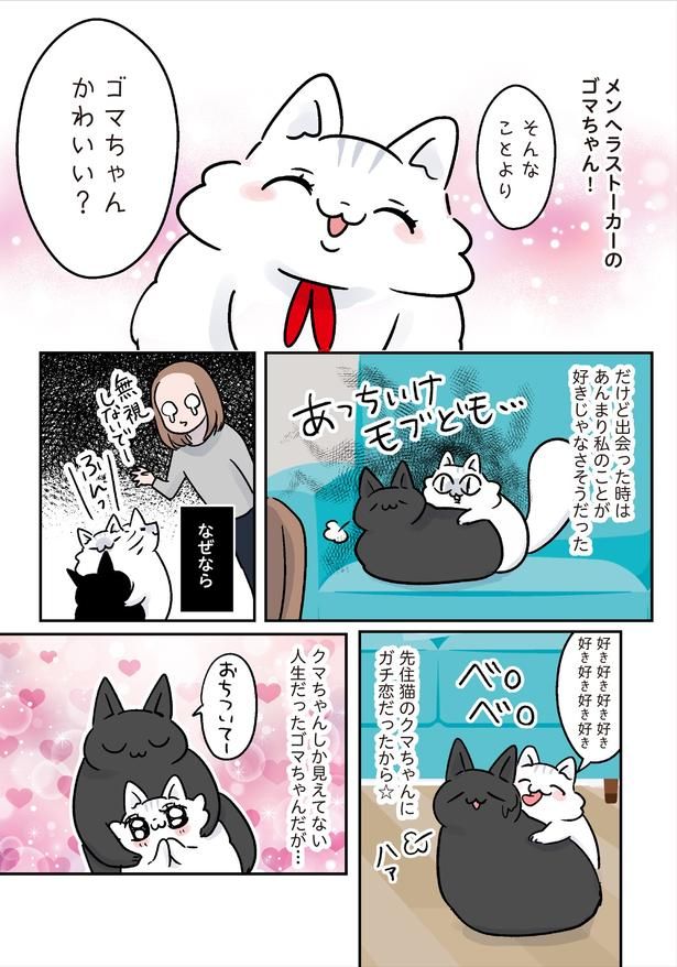 ゴマちゃんかわいい？ （C）こばん／KADOKAWA