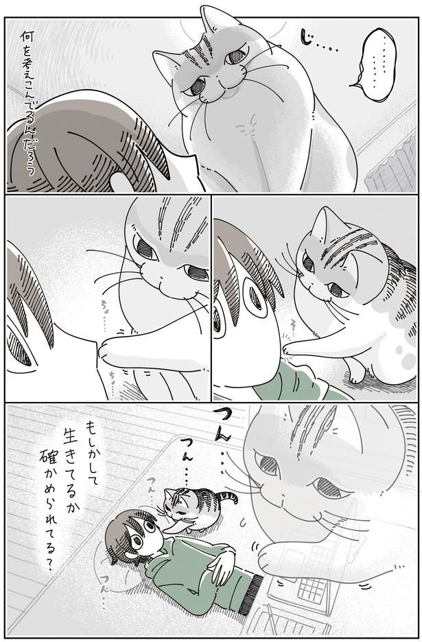 何を考えこんでるんだろう （C）キュルZ／KADOKAWA
