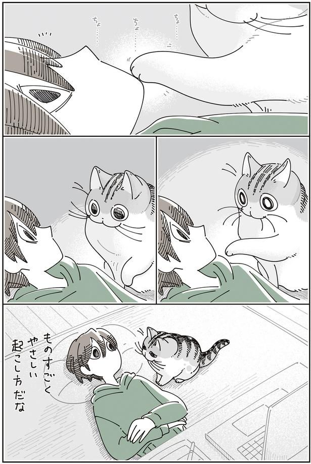 やさしい起こし方だな （C）キュルZ／KADOKAWA