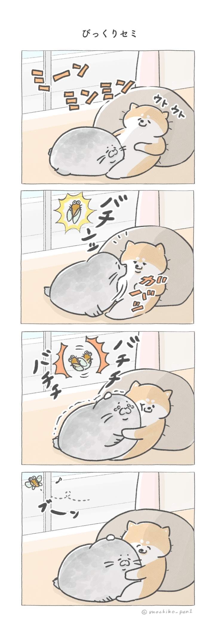 びっくりセミ